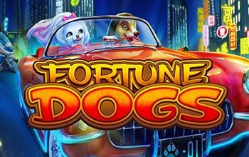 Fortune Dogs